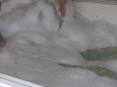 ✓ Selenamoonsoon sexonly.top/ortdwbf gif