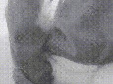 Fucking myself like there's no tomorrow gif