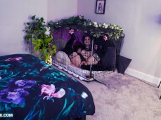 honest man tries to do his job, but his rude cat keeps distracting him gif