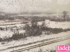 train gif