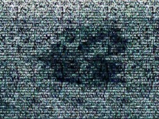 🔎 www·wildwhores·live | i lоve online fuck 👉👌💦, write gif