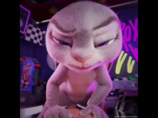 judy hopps gif