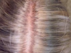 Ambie Bambii loves to suck gif