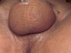 dripping creampie and squirt gif