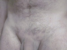 Washaki65 0004-1 5 uncut gif