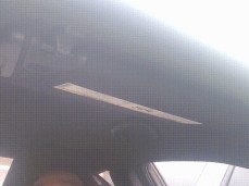 EBONY PUBLIC BLOWJOB gif