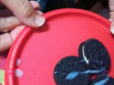 Double Cream Oreos gif