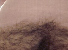 pussy on your face gif