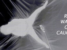 RubyWaves get caught, filmed and fucked gif