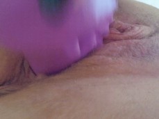 toypussy gif