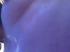 POV: You are being rode on gif