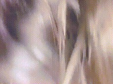 Melody Sucks Daddy gif