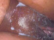 wet phat 🐱 swimming 💦pool gif