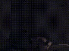 Dicked Down by Confident Stud (His Stroke Game Is Fire) gif