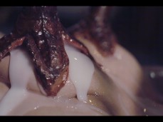 Josephine Jackson fucked by tentacles gif