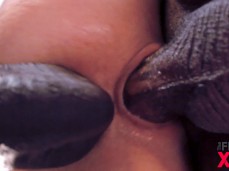 White Girl BBC Oreo DP gif