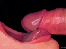 blowjob tongue work gif