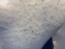 Sniff smelly socks gif