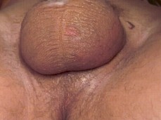 Overflowing Creampie gif