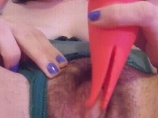 toypussy gif