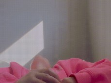 toypussy gif