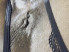 Daddy fuck my pussy gif