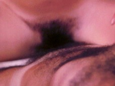 Hairy retro cunt gif