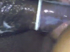 Ebony girl riding daddy dick gif