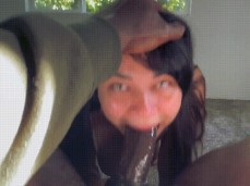 HUGE BBC BLOWJOB gif