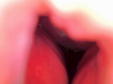 Keyla and Lucas Creampie gif