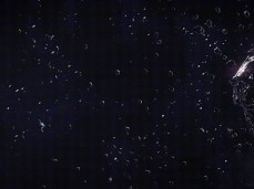 Furry booru Alinexvideos gif