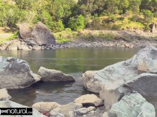 Nikki goes for a dip gif