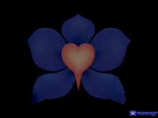 Merece Vivir Encima De La Verga Exprimiendo Leche Humana. gif