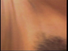 olivia del rio horney gif