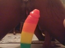 Ebony teasing Daddys cock on video gif