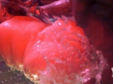 PHAT Booty BBW Kinky Katie gif