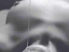 Waiting for the nectar gif