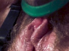 Clit pumping toy throbbing orgasm gif