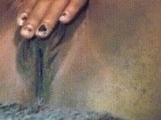 pussy gif
