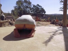 Katya Clover spreads gif