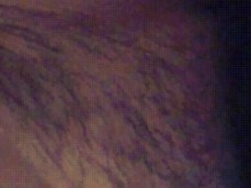 Love seeing these juice, hairy pussies rub together gif