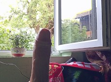 Morning anal training gif