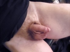 show me your dick gif