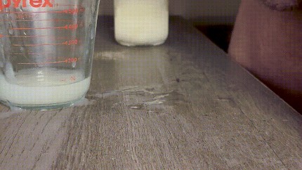 Bull shoots a fifth, massive cum load within four minutes and is still hard