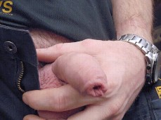 show me your cock gif