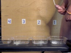 Muscle bull strokes his HUGE cock and shoots a GIANT cum load 0058-1 6 gif