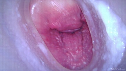 Kamera In Pussy - Animiere dein GIF