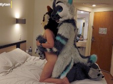 furry fucking Maho & Xytan gif