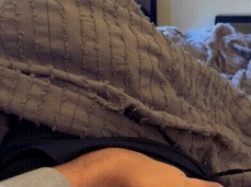 dick reveal gif