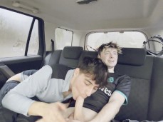 Cock sucking in the car gif